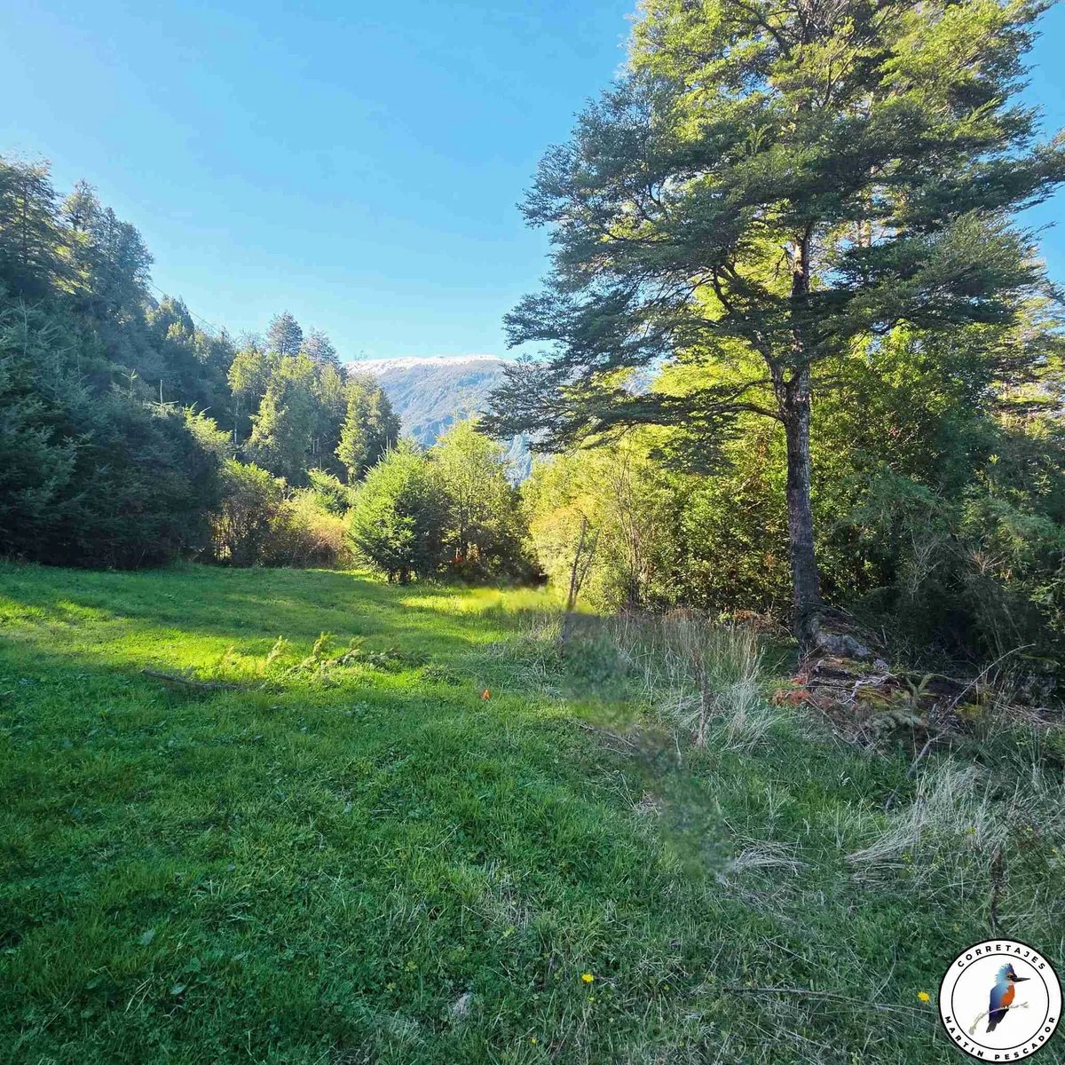 Parcela en Venta en Coyhaique | 10000 m² | $58.500.000 - 5