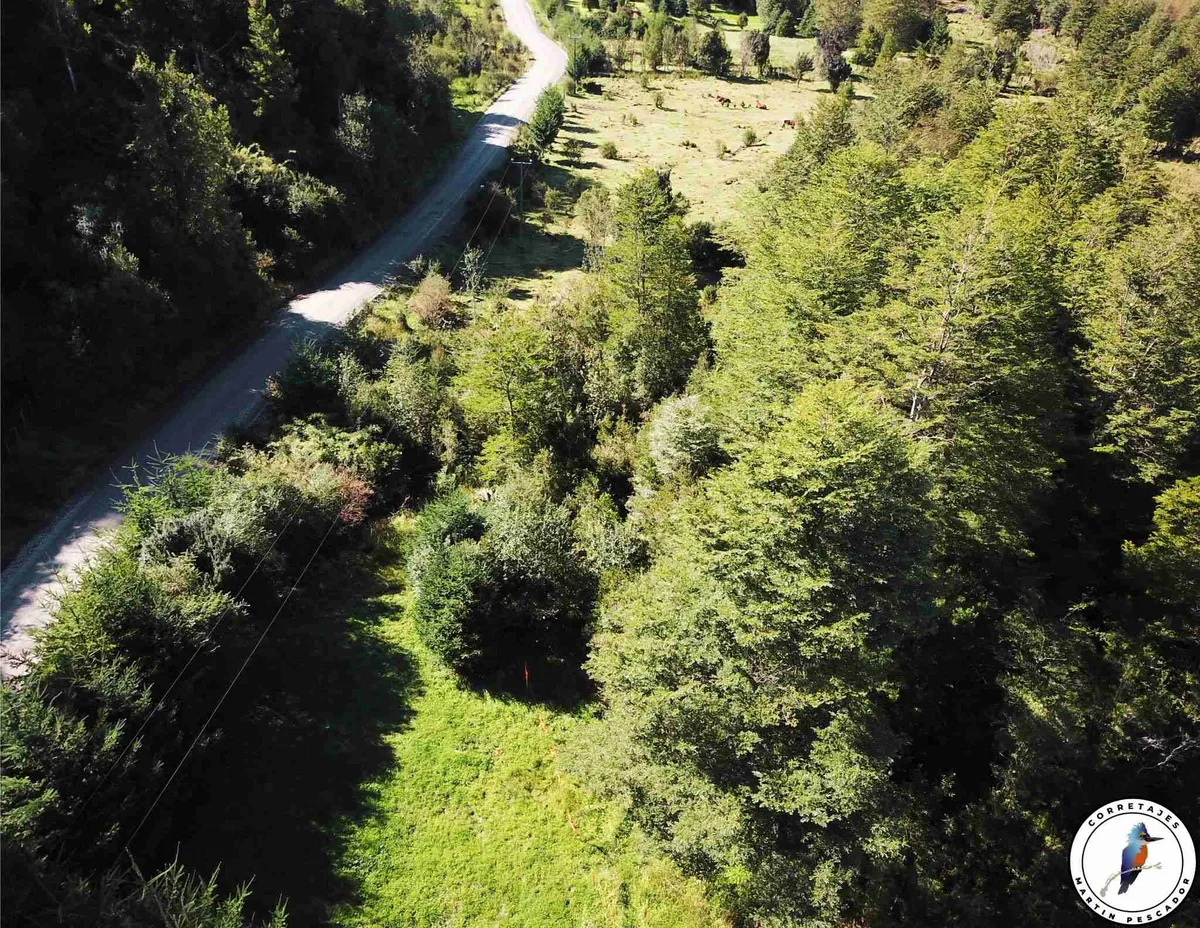 Parcela en Venta en Coyhaique | 10000 m² | $58.500.000 - 8